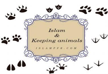 Islam & Keeping animals